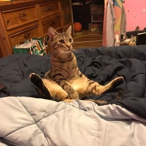 Meet your Posher, Nir